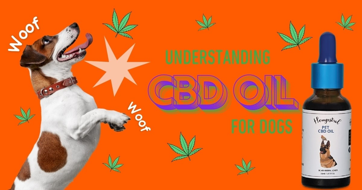 buy cbd oil for dogs